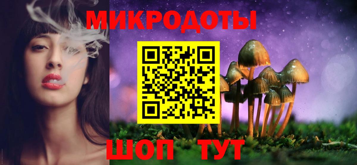 Прохладный  Галлюциногенные грибы Psilocybe  Вход с VPN 