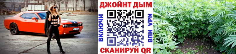 купить   Прохладный  Шишки марихуана план 